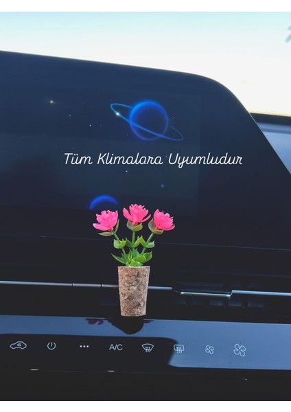 Dekoratif Mini Araç Oto Kokusu | El Yapımı Mantar Saksı Çiçek Klima Süsü | Difüzör Klipsli Pembe fiyatları
