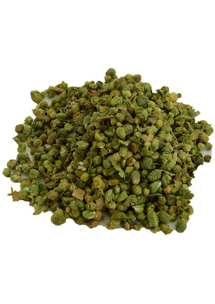 Bilya Kekik Tomurcuk Doğal Tane 100 gr Paket