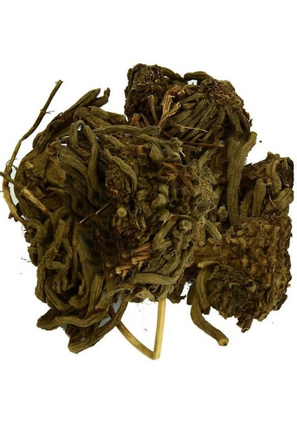 Kediotu Kökü Doğal 100 gr Paket