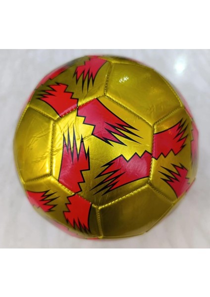 Can Sport Futbol Topu BSF-888