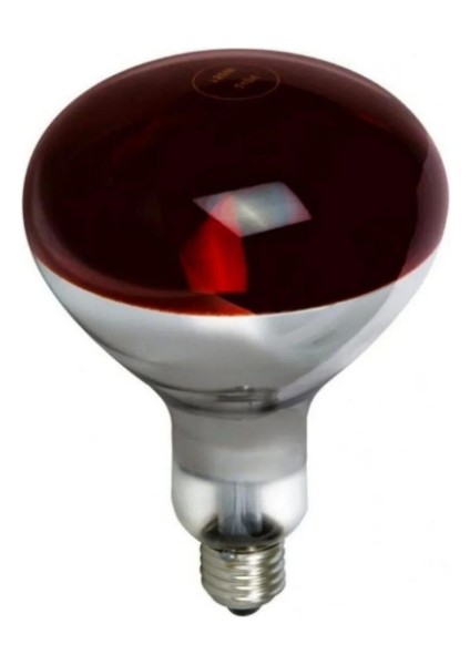 250 Watt Kırmızı Cam Infrared Isıtıcı Ampul Lamba 1 Adet Porselen Duy Hediye