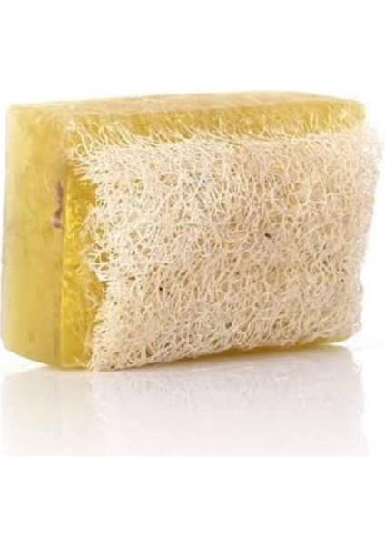 Doğal Kabak Lifli Kükürt Sabunu fiyatları