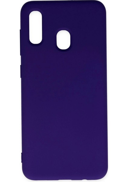 Bfs Samsung Galaxy A20 Kılıf Nano Içi Kadife Silikon - Mor