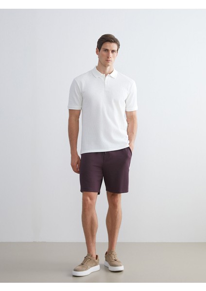 Yeni Sezon Standart Kalıp Erkek Şort