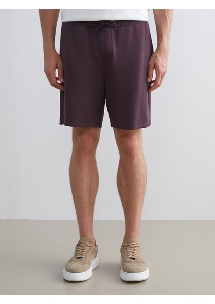 Yeni Sezon Standart Kalıp Erkek Şort fırsatları