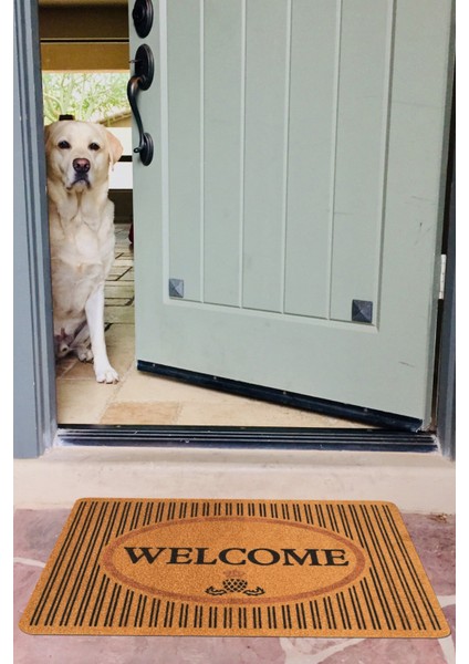 Welcome, Hoşgeldiniz, Modern Dayanıklı Uzun Ömürlü Kapı Önü Paspası, Desenli Paspas, Çeyiz Eşyası