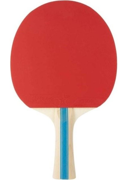Bat Instınct Hobby Masa Tenis Raketi 1210-6318-01 modelleri