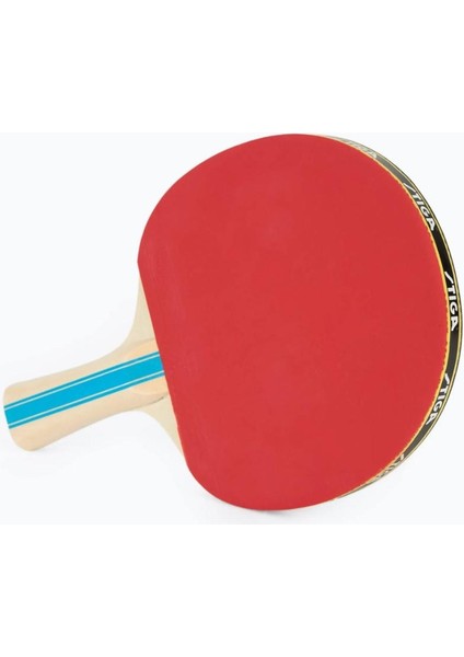 Bat Instınct Hobby Masa Tenis Raketi 1210-6318-01 fırsatları