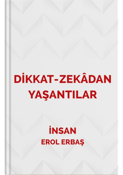 Dikkat-Zekadan Yaşantılar
