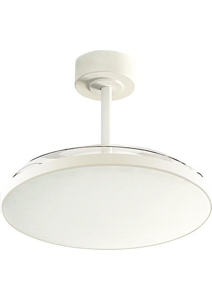 Ayd-10 Uzaktan Kumandalı Lambalı Tavan Vantilatörü