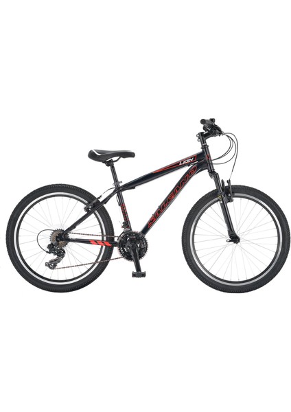 Lion 24 Jant Çocuk Bisikleti (135-155 cm Boy)