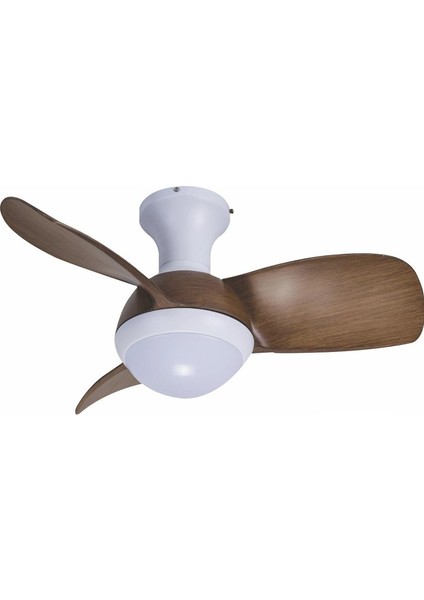 TM30002 Uzaktan Kumandalı Lambalı Tavan Vantilatörü