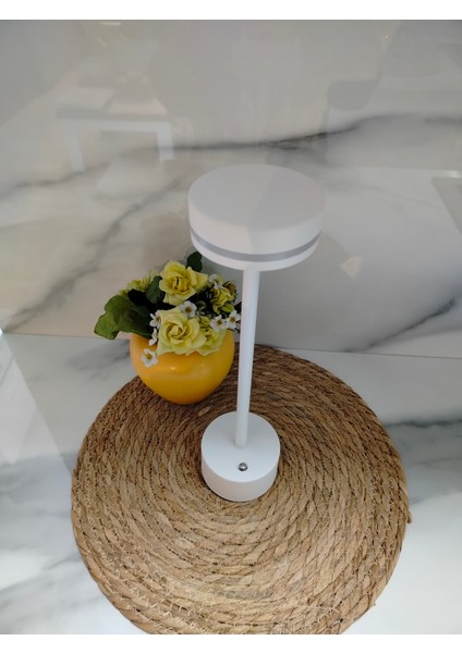 LED Masa Lambası fiyatları