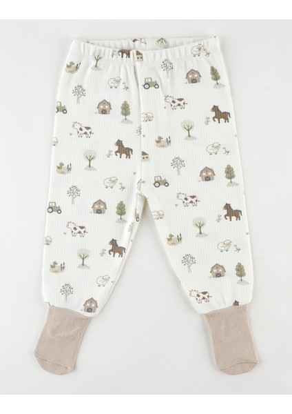 %100 Organik Pamuk 2'li Çoraplı Tek Alt 3-36 ay fiyatları