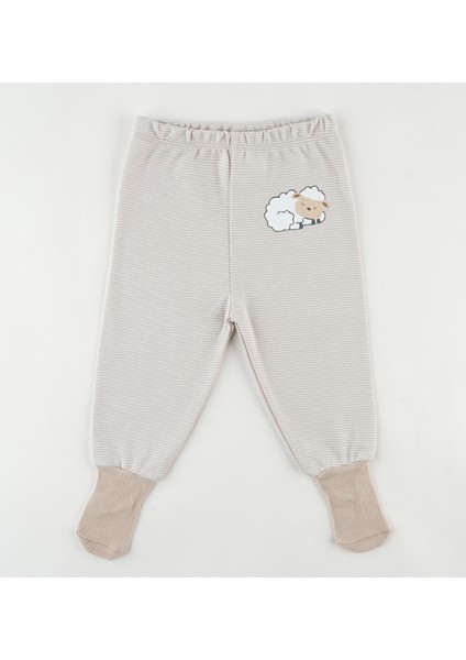 %100 Organik Pamuk 2'li Çoraplı Tek Alt 3-36 ay modelleri