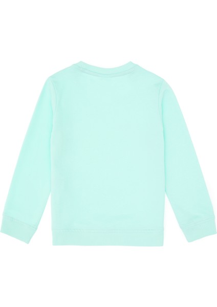 Erkek Çocuk Sweatshirt 50313830-VR250 modelleri