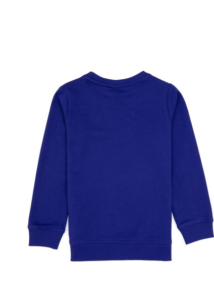 Erkek Çocuk Mor Sweatshirt 50313830-VR038 fiyatları