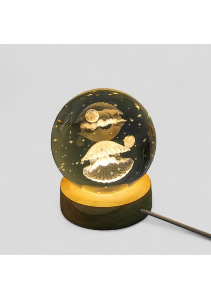 Sevdiklerinize Özel Hediye Kutusu Peluş Anht. Istiridye Aydınlatma 316L Çelik Anka Kolye Parfüm Ş. modelleri