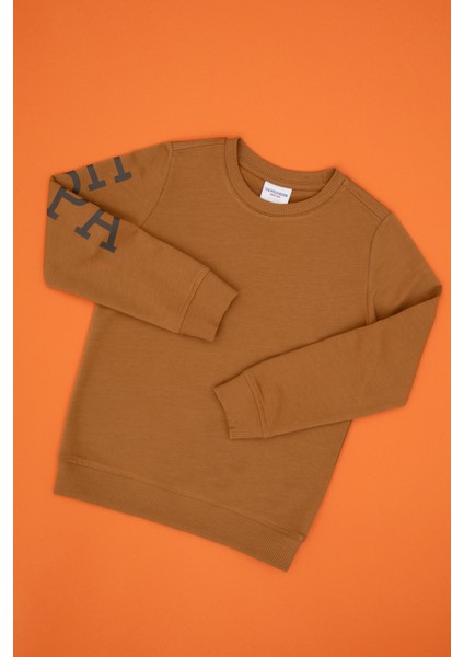 Erkek Çocuk Sweatshirt 50313831-VR233