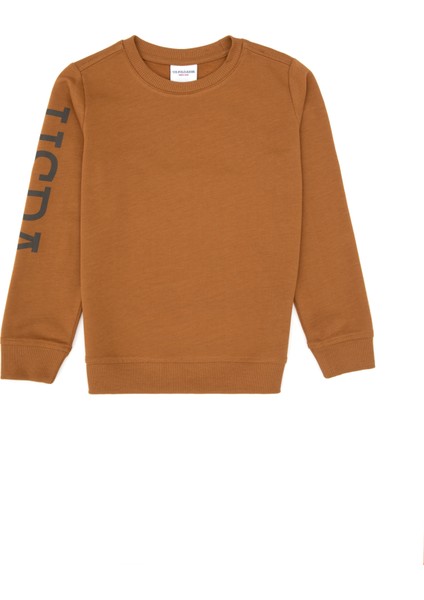 Erkek Çocuk Sweatshirt 50313831-VR233 fiyatları