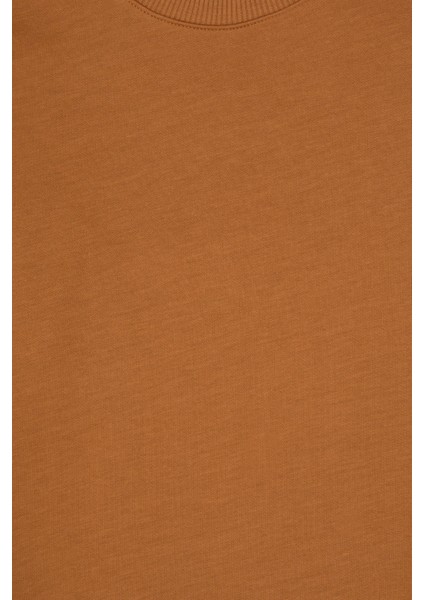 Erkek Çocuk Sweatshirt 50313831-VR233 indirimleri