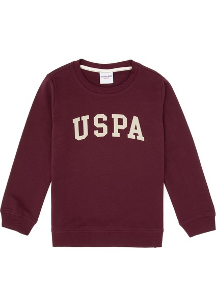 Erkek Çocuk Plum Sweatshirt 50313830-VR177