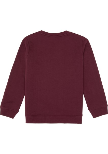 Erkek Çocuk Plum Sweatshirt 50313830-VR177 fiyatları