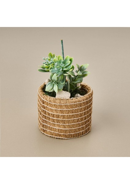 Natürel Çiçek - Asorti - 15 cm fiyatları