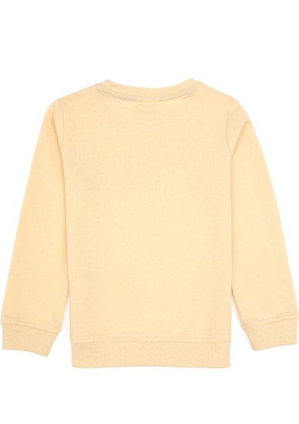 Erkek Çocuk Vanilya Sweatshirt 50313830-VR110 modelleri