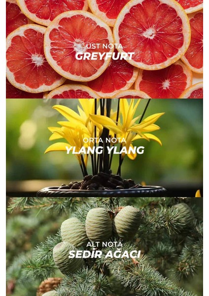 Tokyo L.12.12 Odunsu Özel Seri Uzun Süre Kalıcı 100 Ml. Edp Erkek Parfüm fiyatları