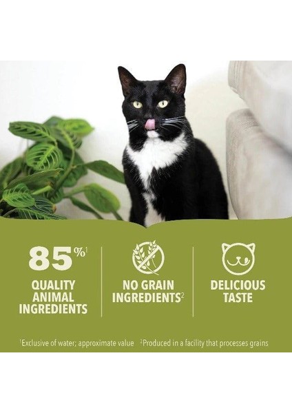 Kitten Cat Canned Süper Set 6X85 gr fırsatları