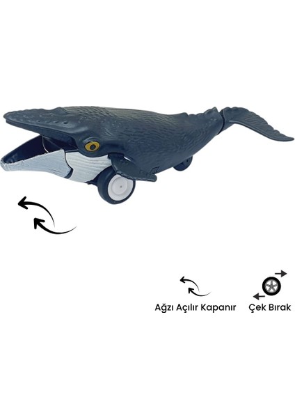 Birlik Sürtmeli Hayvanlar 2'li - Orka Balina ve Dev Balina fiyatları