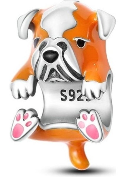 925 Ayar Gümüş Sadık Dostum Bulldog Charmı