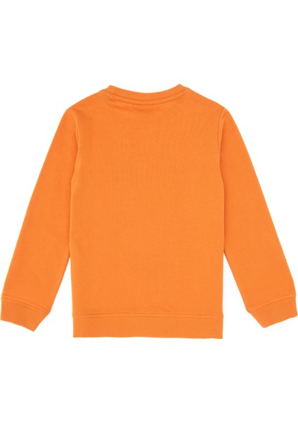 Erkek Çocuk Bakır Sweatshirt 50313830-VR182 modelleri