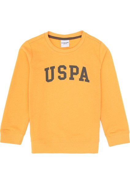 Erkek Çocuk Sweatshirt 50313830-VR244