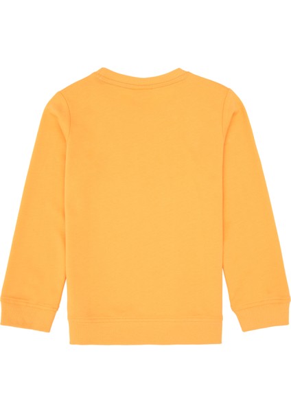 Erkek Çocuk Sweatshirt 50313830-VR244 fiyatları
