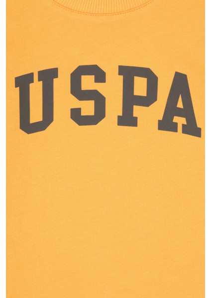 Erkek Çocuk Sweatshirt 50313830-VR244 modelleri