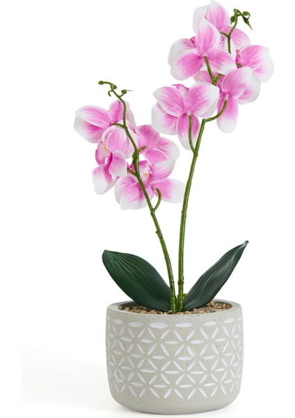 Beton Saksıda Real Touch Orkide - Pembe - 12X35 cm