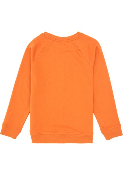 Erkek Çocuk Bakır Sweatshirt 50313832-VR182 fiyatları