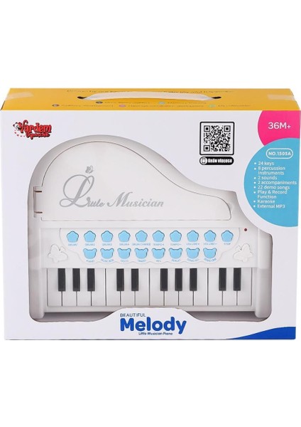 Nessiworld BAO-1505A Mikrofonlu Mini Piano 24 Tuş Mp3 Çalar
