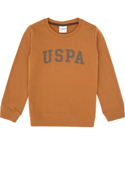 Erkek Çocuk Sweatshirt 50313830-VR233