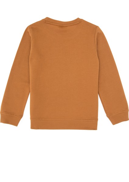 Erkek Çocuk Sweatshirt 50313830-VR233 fiyatları