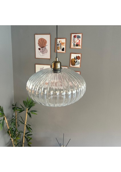 Elegant Şeffaf Cam Tekli Avize Yarım Lale Başlık Sarkıt Lamba Restoran Salon Aydınlatma fırsatları