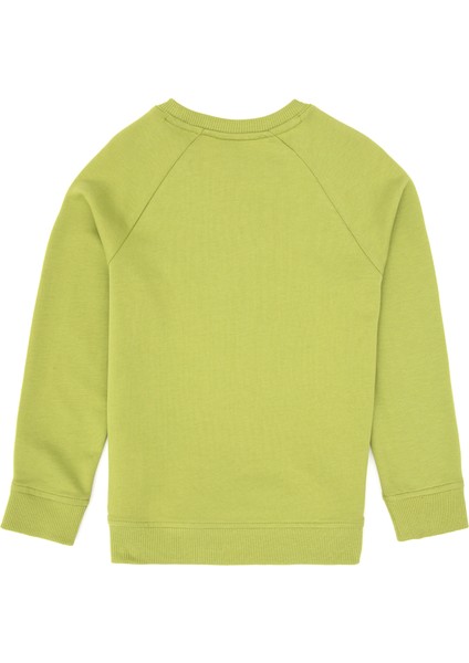 Erkek Çocuk Fıstık Sweatshirt 50313832-VR087 fiyatları