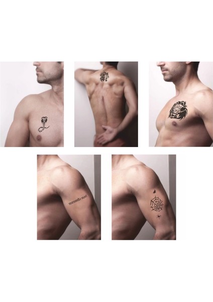 Kobra ve Kaplan Desenleri Hint Kınası ile Geçici Dövme Yapma Seti fiyatları