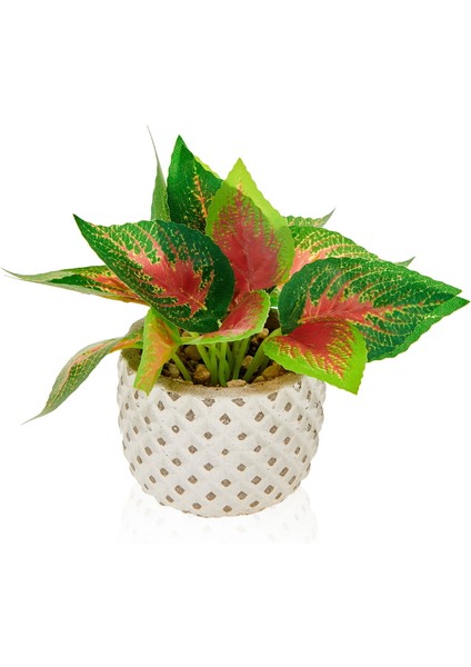 Mini Saksıda Yapraklar - Asorti fiyatları