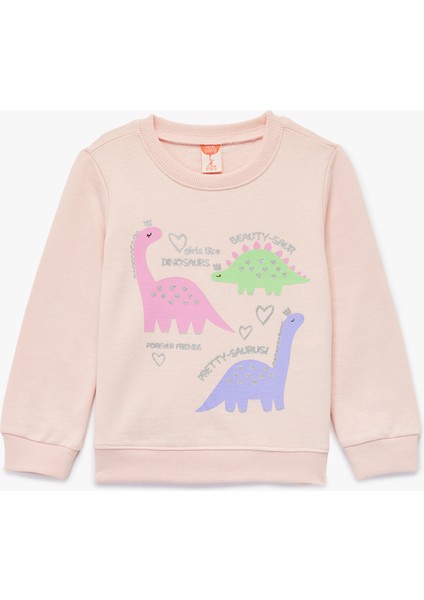 Uzun Kollu Bisiklet Yaka Dinozor Baskılı Şardonlu Pamuklu Sweatshirt