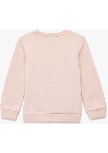 Uzun Kollu Bisiklet Yaka Dinozor Baskılı Şardonlu Pamuklu Sweatshirt fiyatları