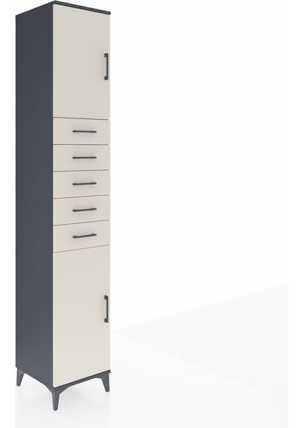 Hyperion Dolap 3 Raflı 5 Çekmeceli 2 Kapaklı 44X44X243 Antrasit-Aytaşı fiyatları