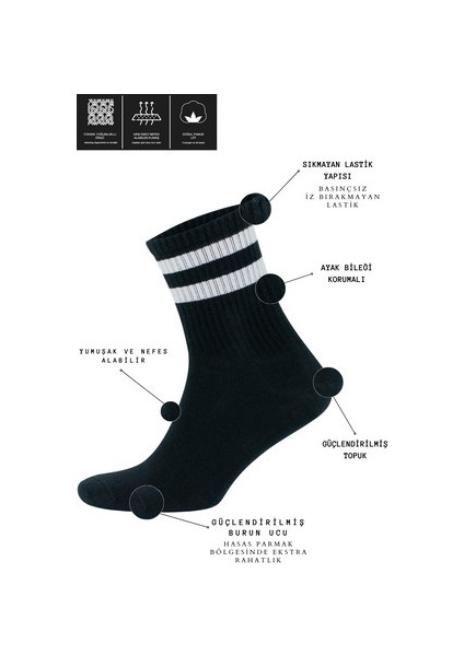Kral Çizgili Patik Çorap Pamuklu Terletmez 12 Çift Yaz Sezonu İçin Rahat Kullanım fiyatları